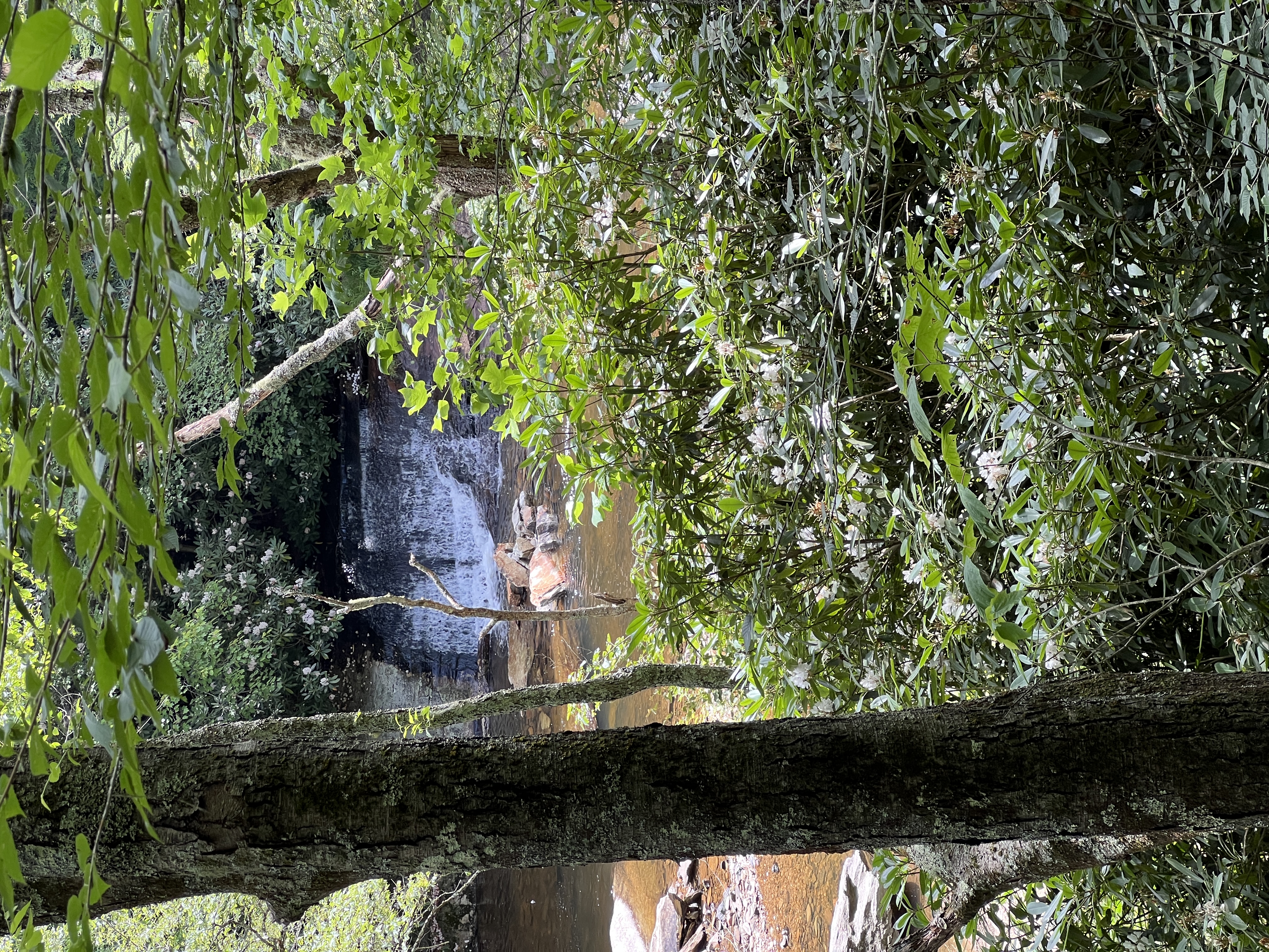 ./2025/09 - Banner Elk/IMG_6354.JPG